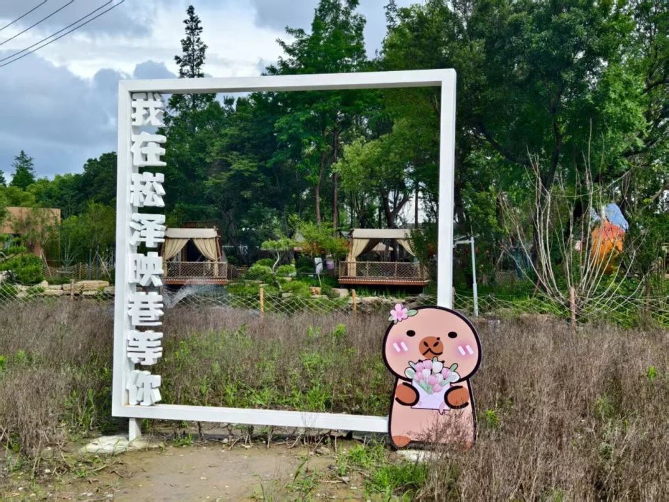 中新茶叶片, OrfUO, gfGa 中新茶叶片, OrfUO, gfGa