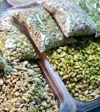 太浦河最美 太浦河最美