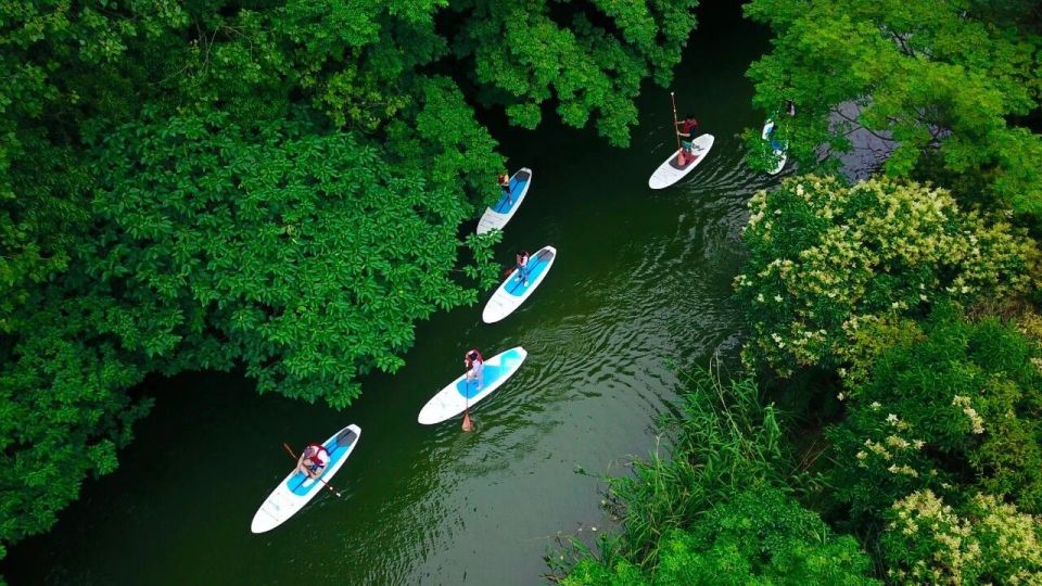 src, 中新茶叶片, 发现了古老 src, 中新茶叶片, 发现了古老