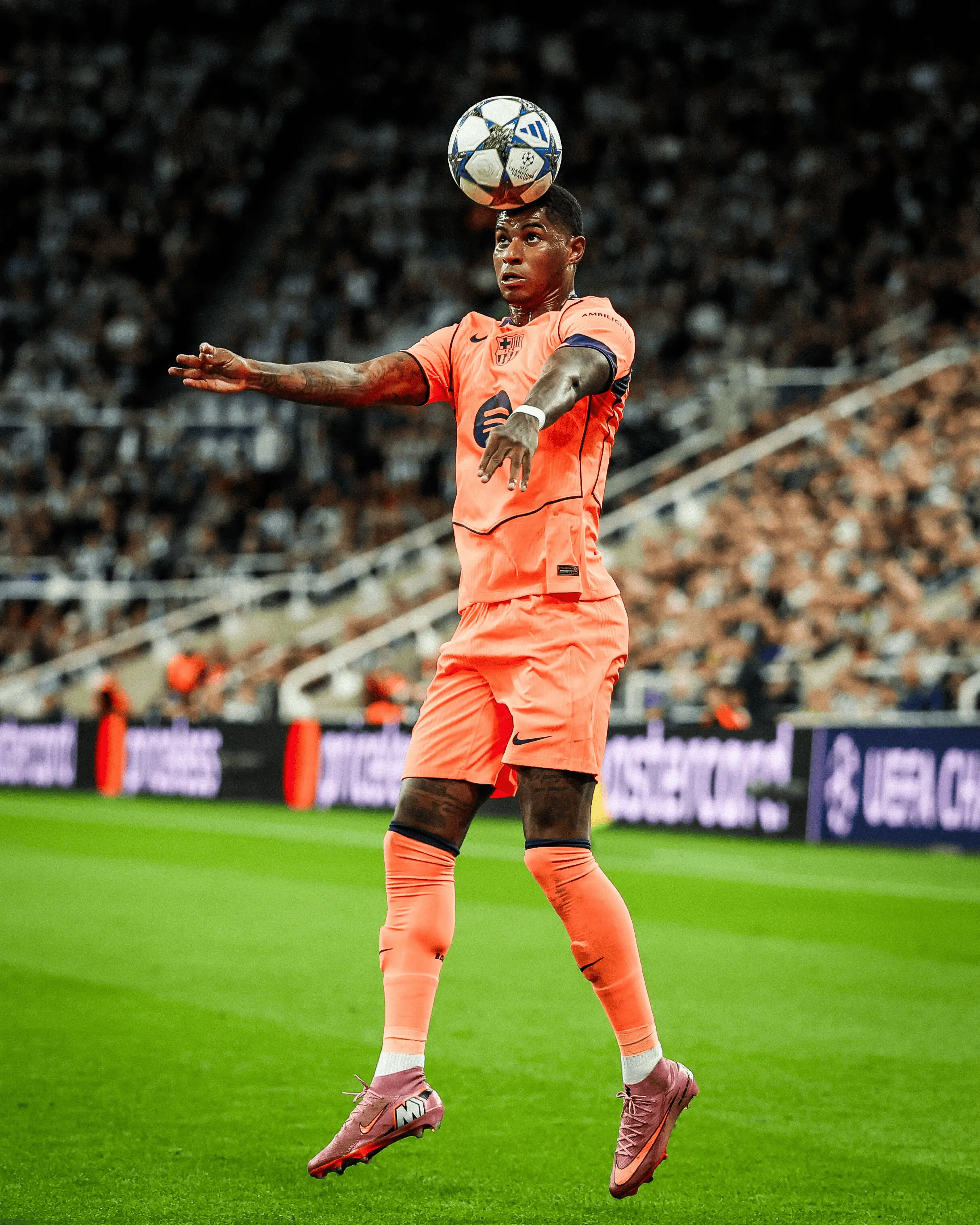 苦苦坚持还 苦苦坚持还